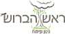 ראש הברוש